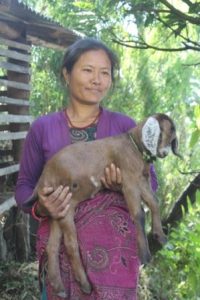 Woman with Jamuna goat